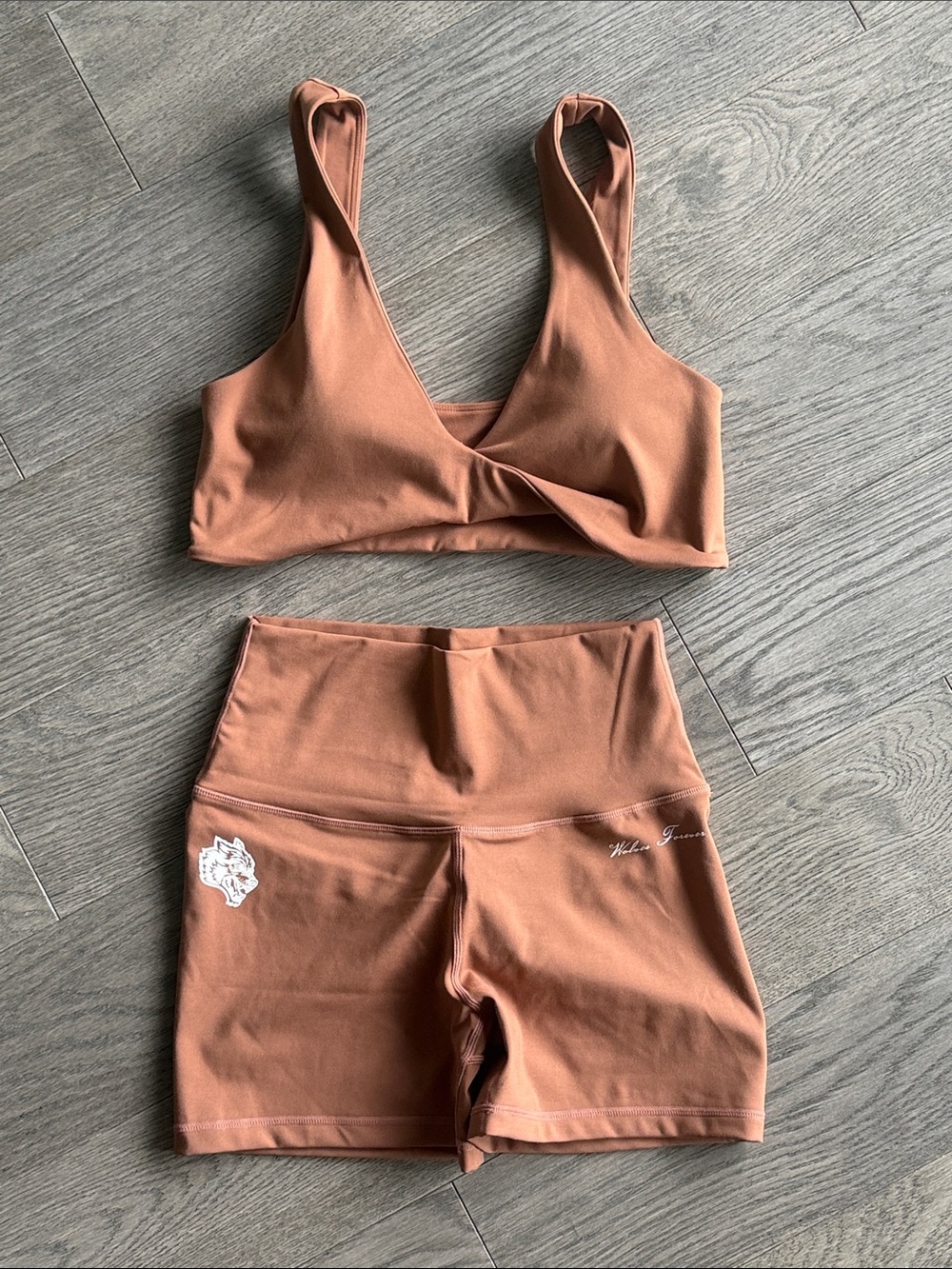 Darc Sport Rusty Clay High-Waist Bike Shorts with Matching Bra